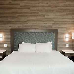 King Room Terrace